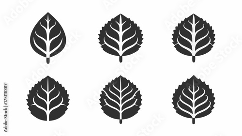 Illustration of six stylized leaves with varying edge details arranged on a white background surface | editable eps vectors silhouette