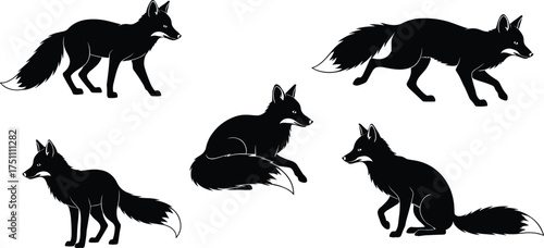 Fox silhouettes in natural poses, wild animal vector artwork, forest wildlife illustration, nature predator design, cad drawing flat vector illustration artwork