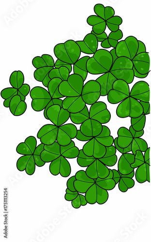 A bunch of fresh green clover leaves. Marsilea plant