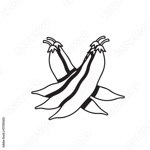 Black and White Chili Peppers – Stylized Spice Illustration