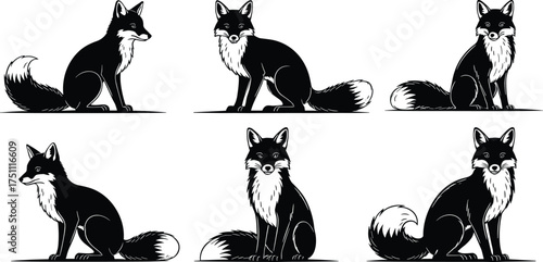 Fox silhouettes sitting in various poses, wild animal vector artwork, forest wildlife illustration, nature predator design, cad drawing flat vector illustration