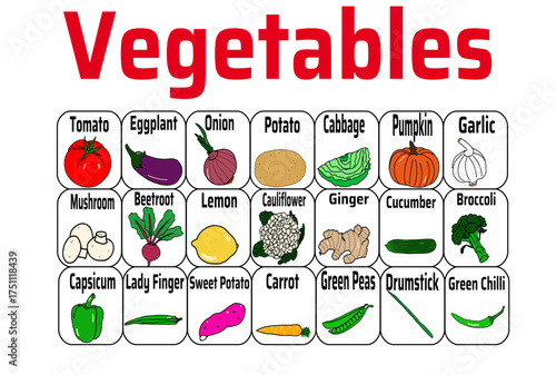 Vegetables chart, set of vegetables