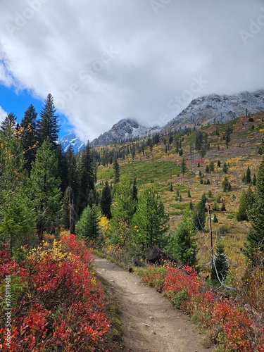 Autumn colours in Grand Teton 