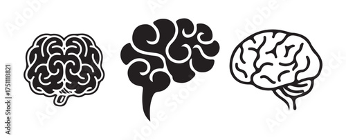 Abstract Brain with Network Lines Representing Technology, Creativity, and Data Flow