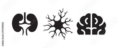 Neural Connection Concept
