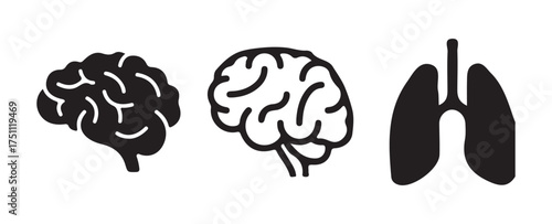 Neural Network Design
