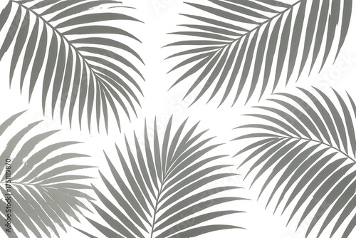 Tropical palm leaves seamless pattern creating a botanical texture background, transparent overlay graphic element