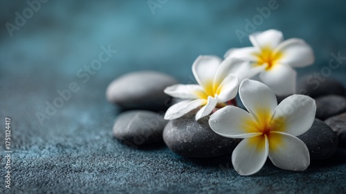 Tranquil Spa Concept with White Flowers on Smooth Stones for Relaxation and Wellbeing