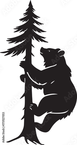 Bear climbing a pine tree silhouette isolated on white background
