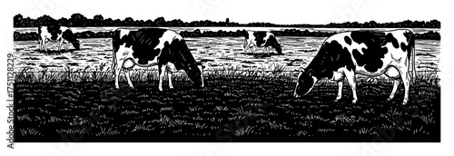 Dairy Cows Eating Grass in a Field Landscape Vintage Black and White Outline Line Art Drawing