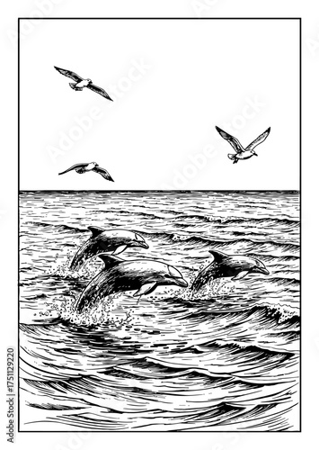 Three Wild Dolphins Breaching Ocean Waves with Flying Seagulls Vintage Black and White Outline Line Art Drawing