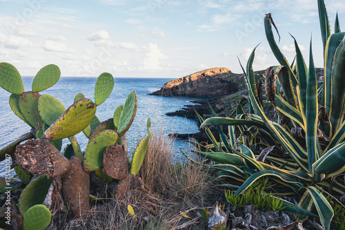PANTELLERIA ARCO DELL'ELEFANTE 