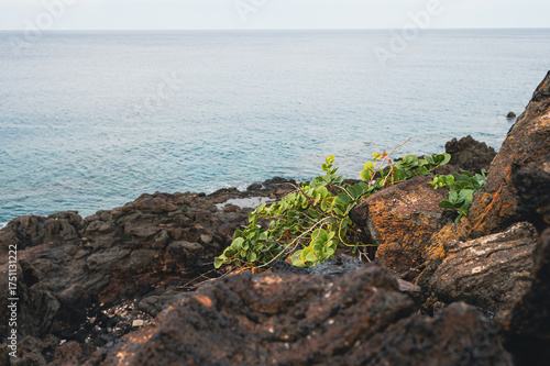 Pantelleria isola Italiana 