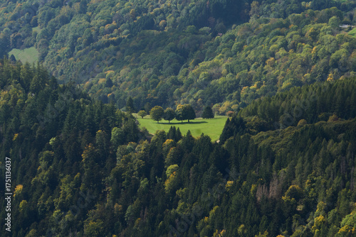 Vosges au mois d'octobre en France