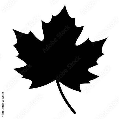 Black maple leaf silhouette isolated on white background