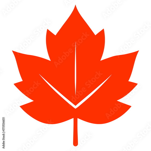 Simple orange maple leaf symbol isolated on white background