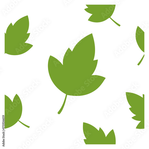Green leaf pattern isolated on white background