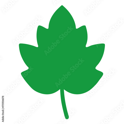 Simple green leaf shape isolated on white background
