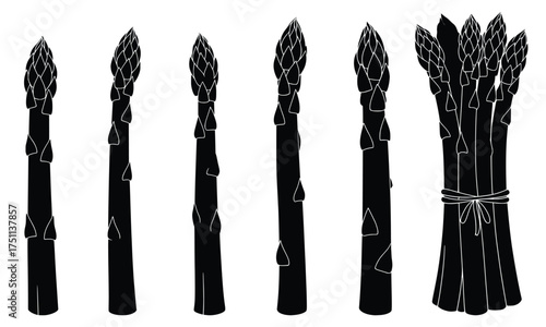 Asparagus Arrangement: A stark, monochrome depiction of vibrant asparagus spears. These fresh, crisp vegetables, carefully arranged, highlight their natural elegance and culinary appeal.