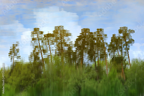Reflected forest landscape in the water which was being flipped upside down.