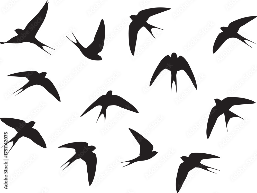 Naklejka premium Silhouette of a flock of birds flying dynamically, freedom and motion concept, black and white vector illustration