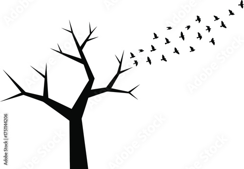 Silhouette of a bare tree with birds flying away from it isolated on white background, symbolizing freedom