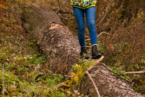 Walking on fallen tree trunk in autumn forest with black boots