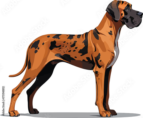 Cute cartoon a illustrator vector Great Dane