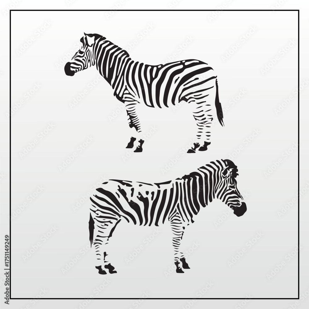 Obraz premium Elegant duo of zebra silhouettes capturing the essence of wild nature in a distinct black and white vector illustration for graphic projects