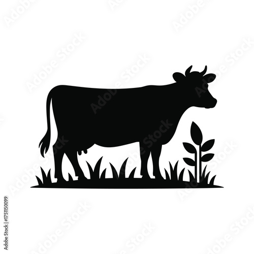 Silhouette of a cow standing in grass with a plant detail livestock farm animal agriculture