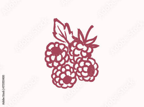 Raspberry berry sketch rough line style vector illustration