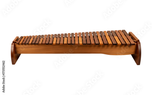 rhythmic Marimba isolated on transparent background 
