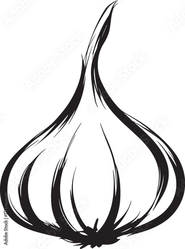 Garlic bulb silhouette vector illustration food ingredient