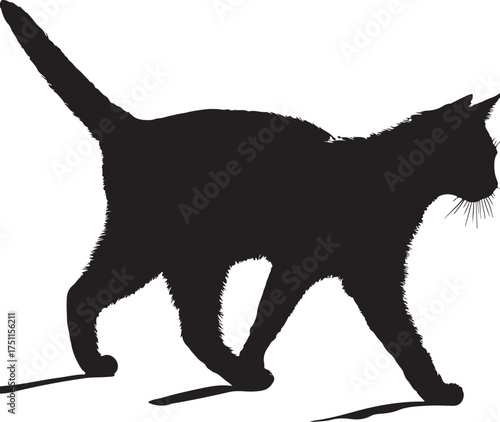 Black cat walking silhouette vector illustration 
