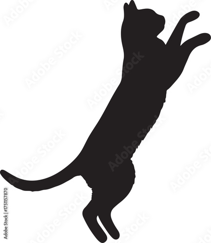 Silhouette of a black cat standing on its hind legs vector  illustration 