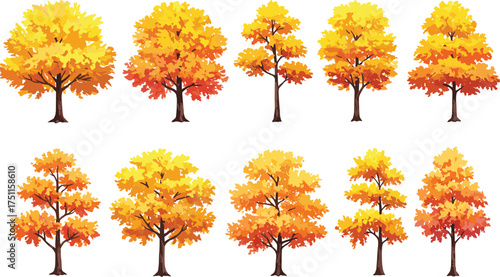 Autumn season trees with orange and yellow leaves, fall landscape nature illustration for park design, cad drawing flat vector illustration