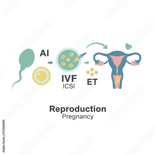 Artificial insemination, in vitro fertilization (IVF), artificial insemination and pregnancy, ICSI technology, embryo transfer (ET), and reproduction, insemination or IVF