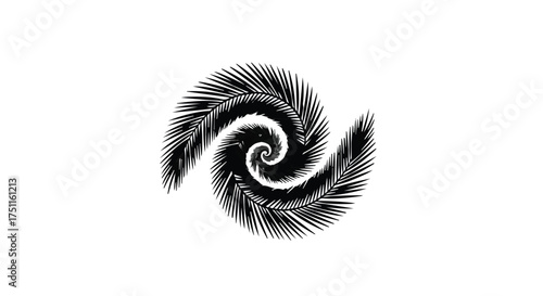 Abstract spiral pattern formed by dark palm leaves on a white background, representing nature's flow and symmetry.