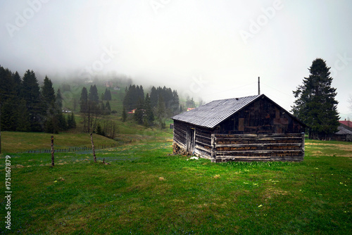 The Black Sea region in eastern Türkiye is famous for its high mountain plateaus, the most popular of which are the Uzungöl and Kadıralak plateaus 20.04.2025, Trabzon,Türkiye
