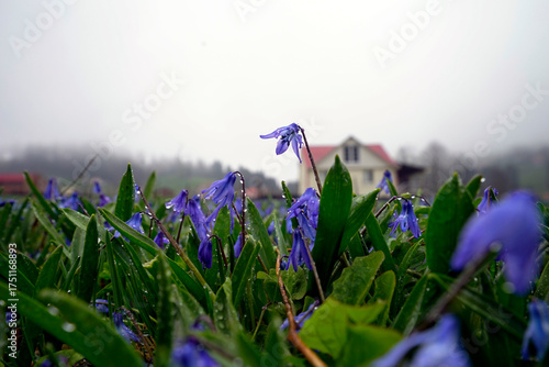 The Black Sea region in eastern Türkiye is famous for its high mountain plateaus, the most popular of which are the Uzungöl and Kadıralak plateaus 20.04.2025, Trabzon,Türkiye