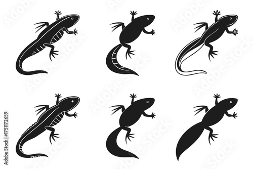 Eight minimalist axolotl icons in black and color