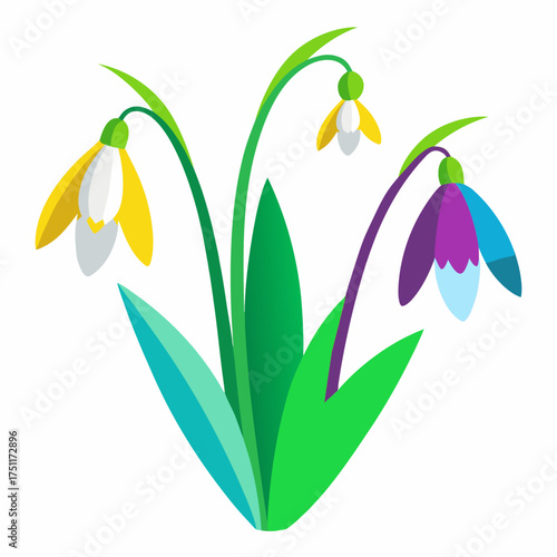 Snowdrops Flower Vector – Minimalist Clean Color Illustration on White Background