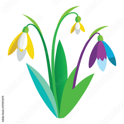 Snowdrops Flower Vector – Minimalist Clean Color Illustration on White Background