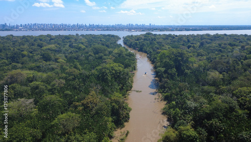 Fotografia foto aerea drone amazonia verde rio praia alter do chão