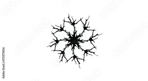 Intricate abstract black starburst pattern on a clean white background