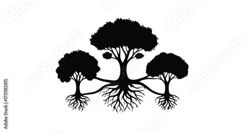 Interconnected trees symbolize unity and shared roots in a striking silhouette.