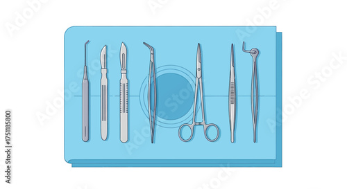 Dental Instruments Set: Scalpel Probe Mirror Forceps and Other Tools on a Blue Tray.