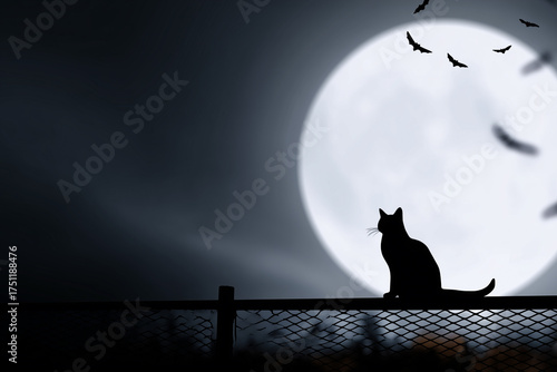 Halloween background. Halloween background with a cat and a full moon.