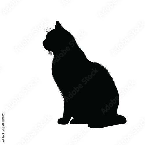 Black cat silhouette with detailed fur texture on white background symbolizing halloween mystery and superstition