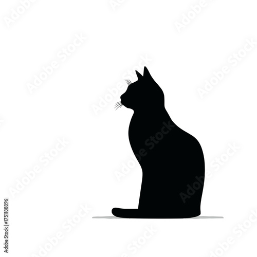 Silhouette of a sitting black cat on white background symbolizing mystery and halloween concept